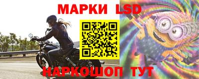 apvp Ставрополь