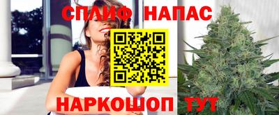 apvp Ставрополь