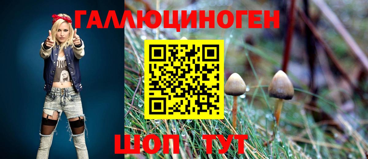 Новосибирск  Галлюциногенные грибы Psilocybine cubensis  Псилоцибиновые грибы мицелий  Вход с VPN 