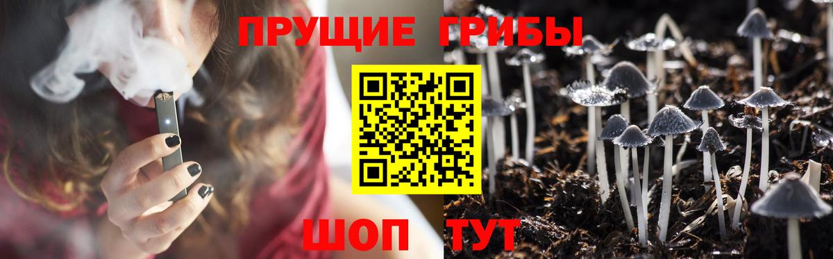 Псилоцибиновые грибы мицелий Новосибирск